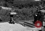 Image of messenger pigeons Korea, 1951, second 12 stock footage video 65675068534