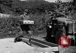 Image of messenger pigeons Korea, 1951, second 13 stock footage video 65675068534