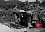 Image of messenger pigeons Korea, 1951, second 14 stock footage video 65675068534