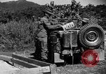 Image of messenger pigeons Korea, 1951, second 15 stock footage video 65675068534