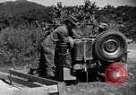 Image of messenger pigeons Korea, 1951, second 16 stock footage video 65675068534