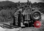 Image of messenger pigeons Korea, 1951, second 17 stock footage video 65675068534