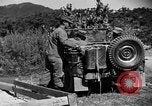 Image of messenger pigeons Korea, 1951, second 18 stock footage video 65675068534