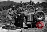 Image of messenger pigeons Korea, 1951, second 19 stock footage video 65675068534