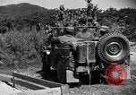 Image of messenger pigeons Korea, 1951, second 21 stock footage video 65675068534
