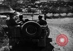 Image of messenger pigeons Korea, 1951, second 22 stock footage video 65675068534