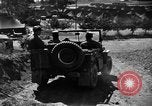 Image of messenger pigeons Korea, 1951, second 23 stock footage video 65675068534