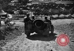 Image of messenger pigeons Korea, 1951, second 24 stock footage video 65675068534