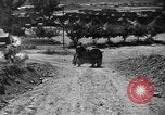 Image of messenger pigeons Korea, 1951, second 28 stock footage video 65675068534