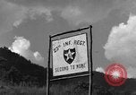 Image of messenger pigeons Korea, 1951, second 35 stock footage video 65675068534