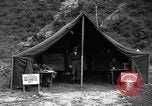 Image of messenger pigeons Korea, 1951, second 38 stock footage video 65675068534