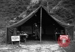 Image of messenger pigeons Korea, 1951, second 39 stock footage video 65675068534