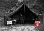 Image of messenger pigeons Korea, 1951, second 40 stock footage video 65675068534