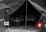 Image of messenger pigeons Korea, 1951, second 54 stock footage video 65675068534