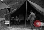 Image of messenger pigeons Korea, 1951, second 55 stock footage video 65675068534