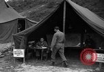 Image of messenger pigeons Korea, 1951, second 56 stock footage video 65675068534