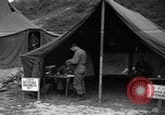 Image of messenger pigeons Korea, 1951, second 58 stock footage video 65675068534