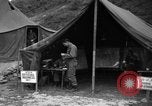 Image of messenger pigeons Korea, 1951, second 59 stock footage video 65675068534