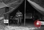 Image of messenger pigeons Korea, 1951, second 60 stock footage video 65675068534