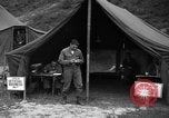 Image of messenger pigeons Korea, 1951, second 61 stock footage video 65675068534