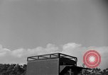 Image of messenger carrier pigeons Korea, 1951, second 12 stock footage video 65675068535