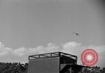 Image of messenger carrier pigeons Korea, 1951, second 13 stock footage video 65675068535