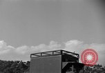 Image of messenger carrier pigeons Korea, 1951, second 15 stock footage video 65675068535