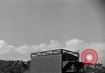 Image of messenger carrier pigeons Korea, 1951, second 17 stock footage video 65675068535
