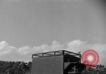 Image of messenger carrier pigeons Korea, 1951, second 21 stock footage video 65675068535