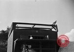 Image of messenger carrier pigeons Korea, 1951, second 25 stock footage video 65675068535