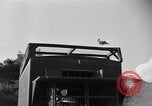 Image of messenger carrier pigeons Korea, 1951, second 30 stock footage video 65675068535