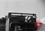 Image of messenger carrier pigeons Korea, 1951, second 31 stock footage video 65675068535