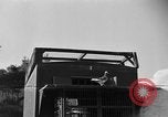 Image of messenger carrier pigeons Korea, 1951, second 32 stock footage video 65675068535