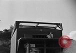 Image of messenger carrier pigeons Korea, 1951, second 33 stock footage video 65675068535