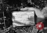 Image of messenger carrier pigeons Korea, 1951, second 35 stock footage video 65675068535