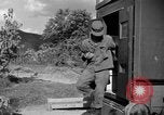 Image of messenger carrier pigeons Korea, 1951, second 48 stock footage video 65675068535