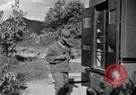 Image of messenger carrier pigeons Korea, 1951, second 50 stock footage video 65675068535