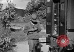 Image of messenger carrier pigeons Korea, 1951, second 52 stock footage video 65675068535