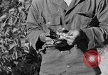Image of messenger carrier pigeons Korea, 1951, second 58 stock footage video 65675068535