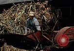 Standbild American People und Lifestyle nach Zweiten Weltkrieg United States USA, 1945, aus Sekunde 43 historischem Filmmaterial Videoclip 65675068537