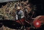 Standbild American People und Lifestyle nach Zweiten Weltkrieg United States USA, 1945, aus Sekunde 44 historischem Filmmaterial Videoclip 65675068537