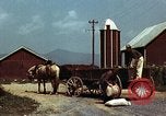 Image of American people after World War 2 United States USA, 1946, second 7 stock footage video 65675068538