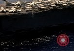 Image of USS America CVA-66 Mediterranean Sea, 1967, second 47 stock footage video 65675068563