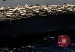 Image of USS America CVA-66 Mediterranean Sea, 1967, second 49 stock footage video 65675068563
