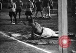 Standbild finnische Armee Finnland, 1932, aus Sekunde 13 historischem Filmmaterial Videoclip 65675068598
