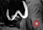 Image daylight raid par 1re Force de service spécial Anzio Italie, 1944, de la seconde 50 séquences d'archives historiques vidéo 65675068608