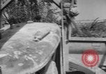 Immagine di Quinto Esercito degli Stati Uniti Salerno Italia, 1943, secondo 41 filmato di repertorio 65675068613