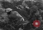 Immagine di Truppe Basuto Salerno Italia, 1943, secondo 33 filmato di repertorio 65675068619