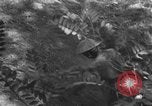 Immagine di Truppe Basuto Salerno Italia, 1943, secondo 37 filmato di repertorio 65675068619