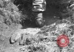 Immagine di Truppe Basuto Salerno Italia, 1943, secondo 57 filmato di repertorio 65675068619
